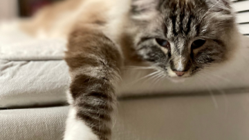 Metabolizm po 30tce – jak jest na prawdę?